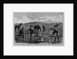 Discovering the remains of Lieutenant Kidder and ten men of the Seventh United States Cavalry by Anonymous