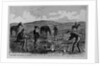 Discovering the remains of Lieutenant Kidder and ten men of the Seventh United States Cavalry by Anonymous