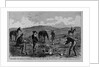 Discovering the remains of Lieutenant Kidder and ten men of the Seventh United States Cavalry by Anonymous