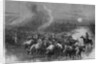 A drove of Texas cattle crossing a stream by A. R. Waud