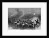 A drove of Texas cattle crossing a stream by A. R. Waud