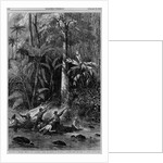 Surveying in Central America for a railroad across the Isthmus of Nicaragua - floating down the Rama by Anonymous