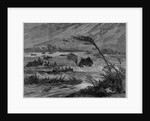 The floods in the West Indies - inundation of the island of Tortola by Anonymous