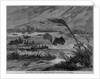 The floods in the West Indies - inundation of the island of Tortola by Anonymous
