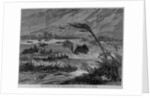 The floods in the West Indies - inundation of the island of Tortola by Anonymous