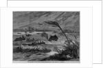 The floods in the West Indies - inundation of the island of Tortola by Anonymous