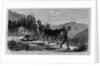 Illicit distillation of liquors - how the article is carried to the southern markets by Anonymous