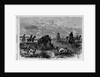 Prairie-chichen shooting in Kansas by Theodore R. Davi
