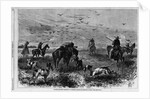 Prairie-chichen shooting in Kansas by Theodore R. Davi