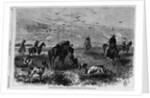 Prairie-chichen shooting in Kansas by Theodore R. Davi