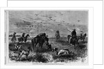 Prairie-chichen shooting in Kansas by Theodore R. Davi