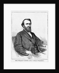 Hon. Williard Warner by Anonymous