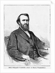 Hon. Williard Warner by Anonymous