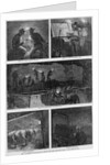 The Coal Mines of Pennsylvania - Mining the Coal by Anonymous
