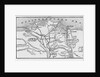 Map of the Suez Canal by Anonymous