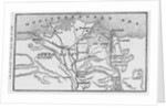 Map of the Suez Canal by Anonymous