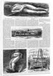 Illustrations of the Cardiff Giant in Harper's Weekly by Anonymous