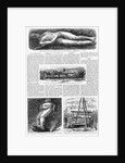 Illustrations of the Cardiff Giant in Harper's Weekly by Anonymous