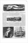 Illustrations of the Cardiff Giant in Harper's Weekly by Anonymous