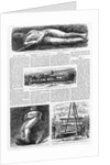 Illustrations of the Cardiff Giant in Harper's Weekly by Anonymous