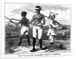 The War in Cuba - Insurgent Picket of Freedmen by Anonymous