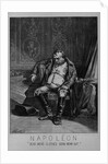 Napoleon. "Dead men's clothes soon wear out." by Anonymous