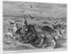 Slaughter of Buffalos on the Plains by Anonymous