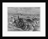 Slaughter of Buffalos on the Plains by Anonymous
