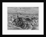 Slaughter of Buffalos on the Plains by Anonymous