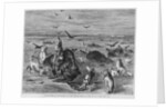Slaughter of Buffalos on the Plains by Anonymous