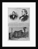 Andrew J. Garvey.; The Tichborne Case - the Claimant.; The Tichborne Case - Cabin in Which the Claiman by Anonymous