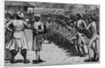 Irregular East Indian Troops by Anonymous