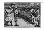 Irregular East Indian Troops by Anonymous
