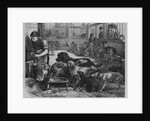 Home For Lost Dogs by Anonymous