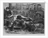 Home For Lost Dogs by Anonymous