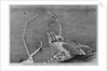 From Dover to Calais - Bird's Eye View of the Proposed Harbor at Dover by Anonymous