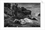 The Wreck of the Atlantic - Cast Up by the Sea by Winslow Homer