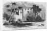 Ruins of General Oglethorp's Barracks at Frederica, St. Simon's Island, Georgia by Anonymous