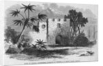Ruins of General Oglethorp's Barracks at Frederica, St. Simon's Island, Georgia by Anonymous