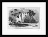 Ruins of General Oglethorp's Barracks at Frederica, St. Simon's Island, Georgia by Anonymous