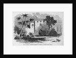 Ruins of General Oglethorp's Barracks at Frederica, St. Simon's Island, Georgia by Anonymous