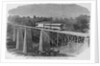 Bridge over Green River, on the Louisville and Nashville railroad by Anonymous