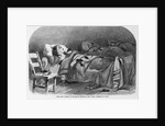 The sick women in Bellevue Hospital, New York, overrun by rats by Anonymous