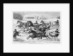 Trotters on the Snow by Anonymous