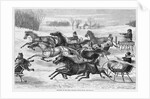 Trotters on the Snow by Anonymous