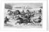 Trotters on the Snow by Anonymous