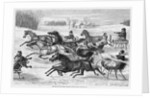 Trotters on the Snow by Anonymous