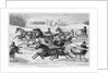 Trotters on the Snow by Anonymous