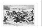 Trotters on the Snow by Anonymous