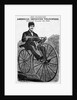 The Celebrated American Improved Velocipede Illustration by Anonymous